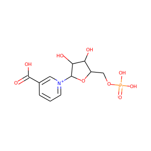 Nicotinic acid mononucleotide